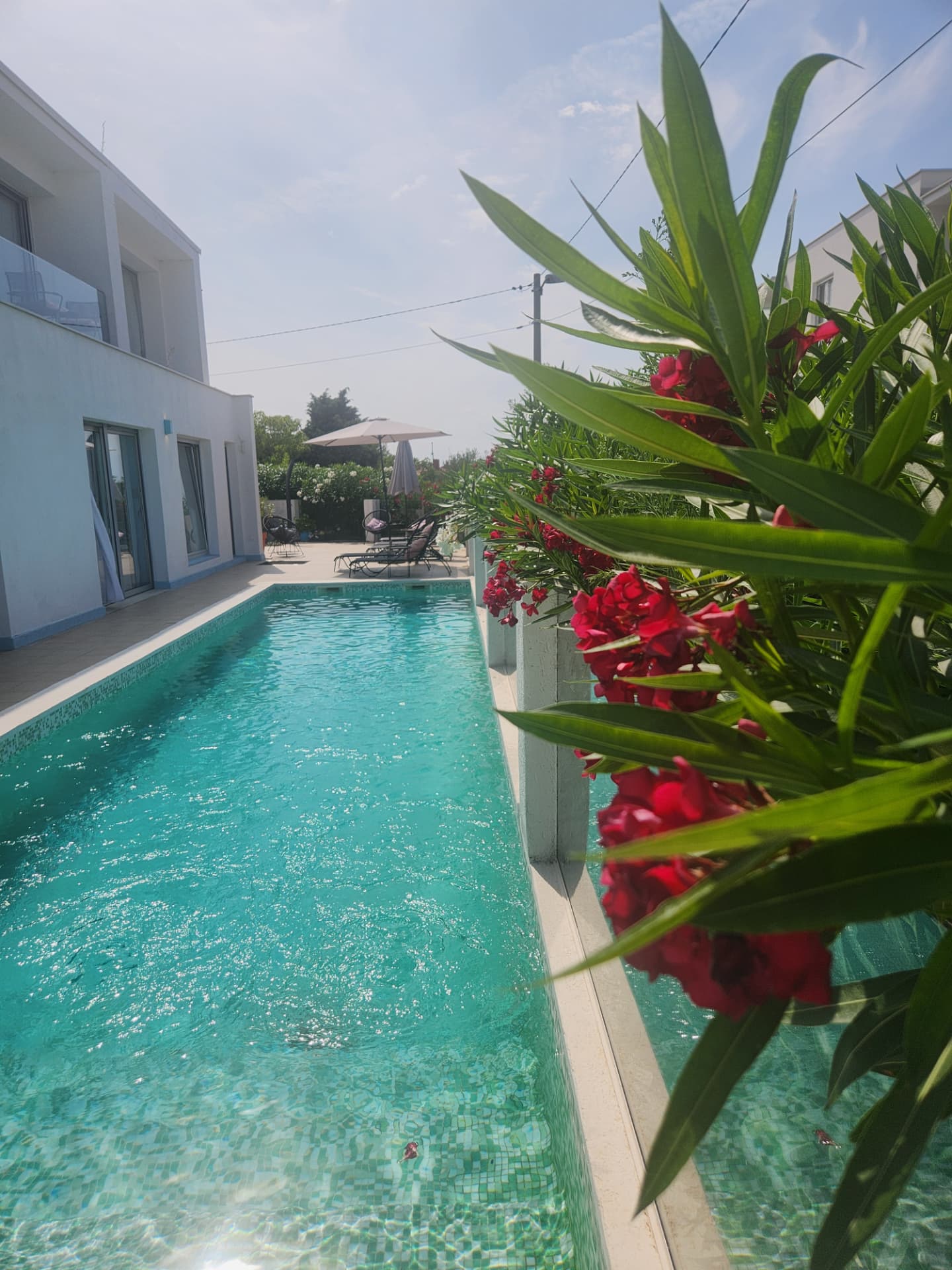 Turquoise pool beside the retreat house, framed by red oleander in bloom